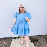 The Wash Out Denim Dress