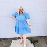 The Wash Out Denim Dress